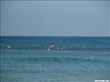 Jobos Beach - ISABELA
